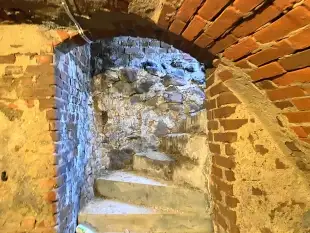 Urocze siedlisko na Mazurach! - zdjęcie 16