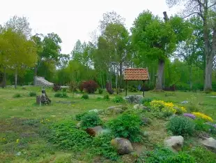 Urocze siedlisko na Mazurach! - zdjęcie 3