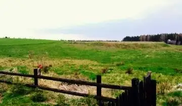 Działka 40 arów przy lesie  - zdjęcie 1