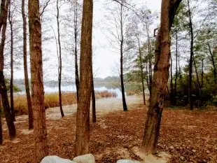 Działka  2650 m2 linią brzegową jeziora Szwarcenowo - zdjęcie 5