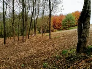 Działka  2650 m2 linią brzegową jeziora Szwarcenowo - zdjęcie 4