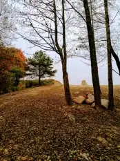 Działka  2650 m2 linią brzegową jeziora Szwarcenowo - zdjęcie 2