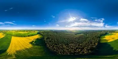 Pola rzepaku niedaleko Pozezdrza