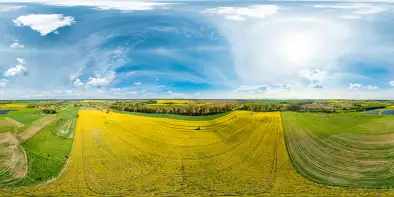 Kwitnące pola rzepaku przy wsi Kożuchy Wielkie, maj 2022