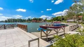 Port miejski w Rynie