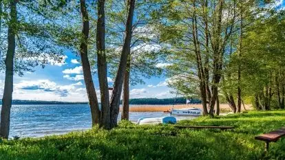 Obieżyświat Skorupki