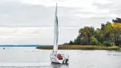 SPORTINA 682