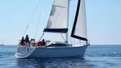 TANGO 33