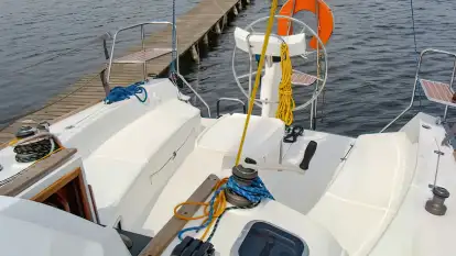 COBRA 33