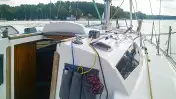 COBRA 33