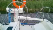 COBRA 33