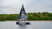 COBRA 33