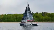 COBRA 33