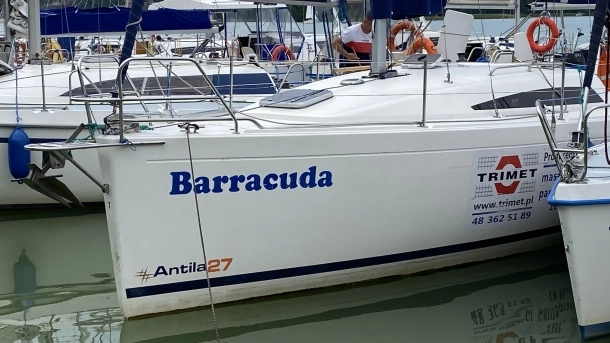 Barracuda