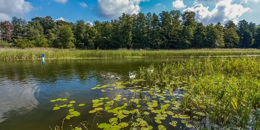 Takie widoki są prawie przy każdym jeziorze ale co leży między jeziorami Niegocin i Kisajno?