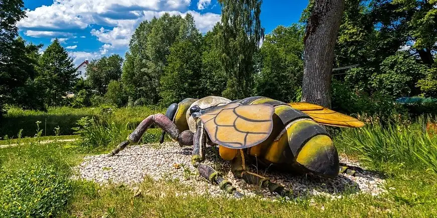 Były zwierzęta, a gdzie są największe (figury) owady?