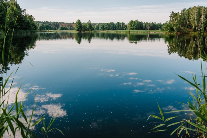 mazurskie jeziora - jak bezpiecznie wypoczywać bez komarów, kleszczy i meszków