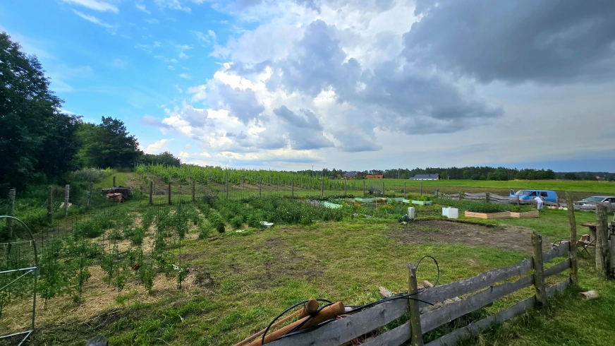 Oh Mazury – nowy adres, który warto zapamiętać