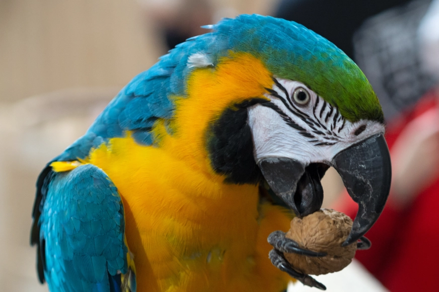 Giżycko – odkrywamy 5 topowych atrakcji miasta