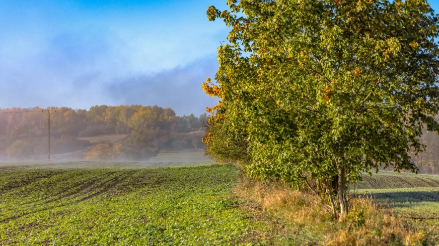 Dlaczego Mazury tak często toną we mgle? Jeziora tworzą idealne warunki