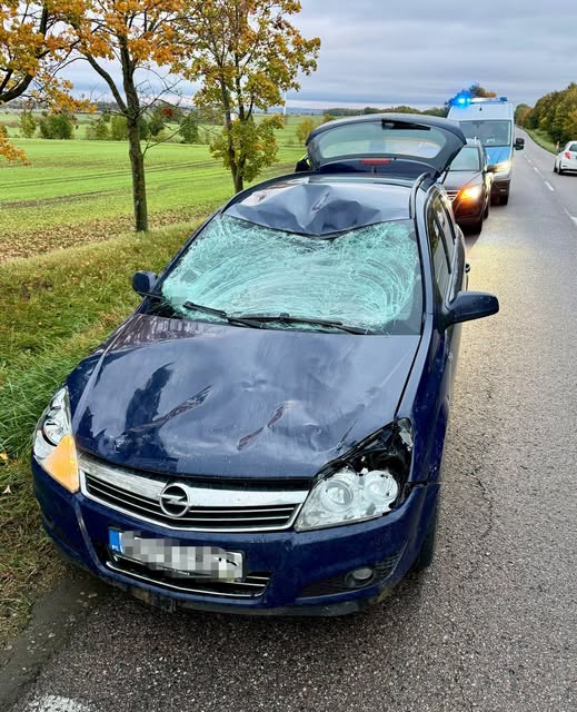 Dzikie zwierzęta na mazurskich drogach. Gdzie zachować szczególną ostrożność i jak uniknąć groźnej kolizji?