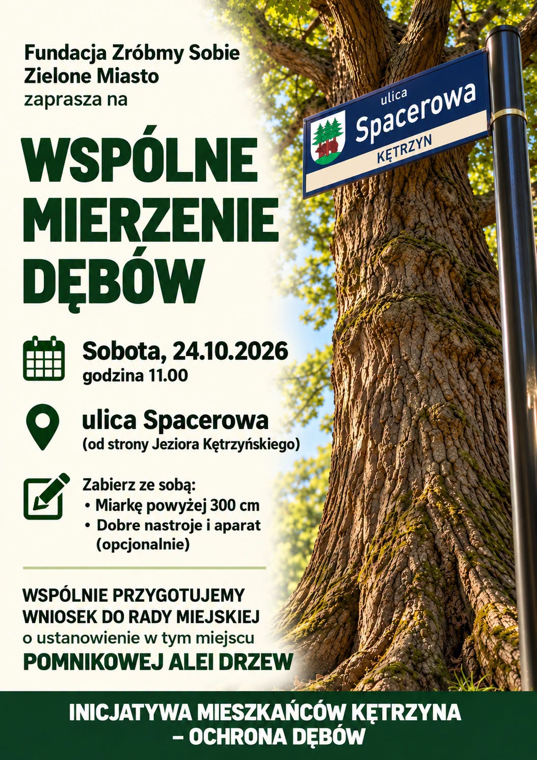 Wspólne mierzenie dębów w Kętrzynie. Mieszkańcy powalczą o pomnikową aleję przy ul. Spacerowej.