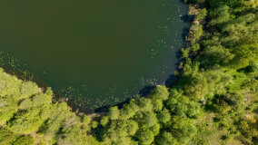 jezioro Wilkasy Małe - zdjęcie 4