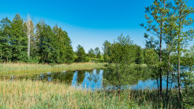 jezioro Krzywe - zdjęcie 2