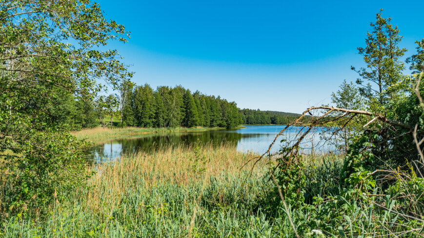 jezioro Krzywe - zdjęcie 1