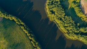 jezioro Wojnowo - zdjęcie 41