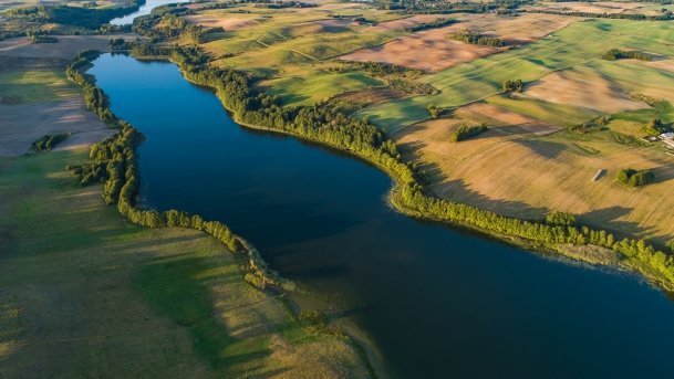 Buwełno - zdjęcie 7