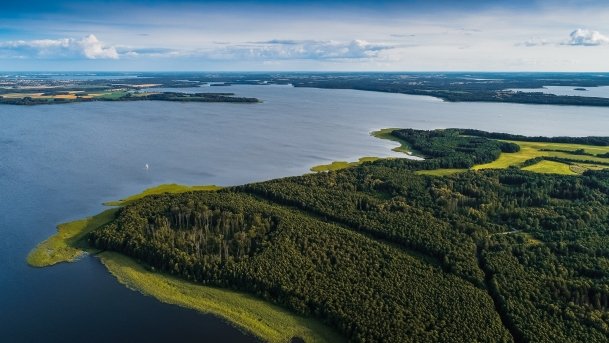 Dargin - zdjęcie 41