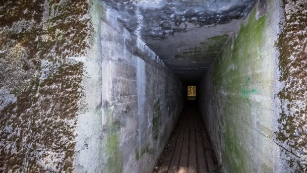 Mamerki Bunkry - zdjęcie 38