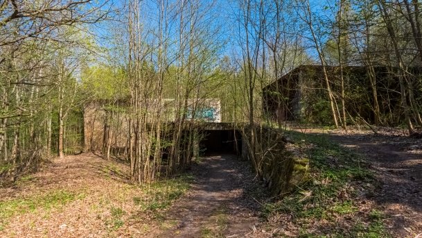 Mamerki Bunkry - zdjęcie 13