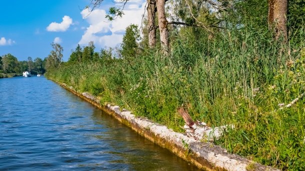 Kanał Szymoński - zdjęcie 46