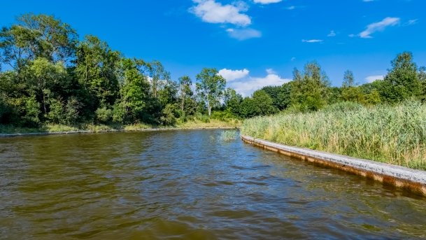 Kanał Szymoński - zdjęcie 40