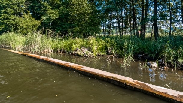 Kanał Mioduński - zdjęcie 33