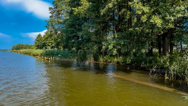 Kanał Mioduński - zdjęcie 32