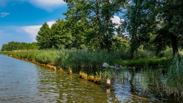 Kanał Mioduński - zdjęcie 31