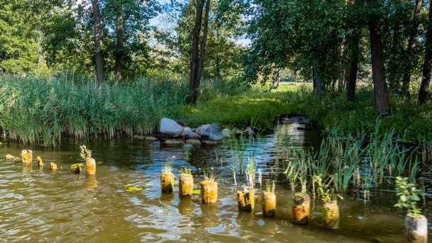 Kanał Mioduński - zdjęcie 30