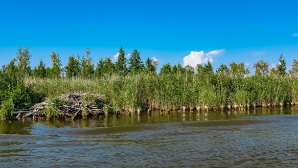 Kanał Mioduński - zdjęcie 25