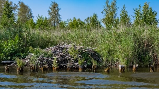 Kanał Mioduński - zdjęcie 24