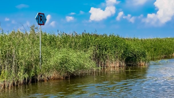 Kanał Mioduński - zdjęcie 22