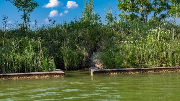 Kanał Tałcki - zdjęcie 57