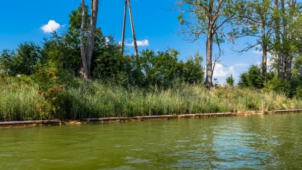 Kanał Tałcki - zdjęcie 52