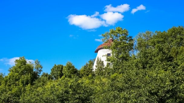 Wiatrak Holenderski w Rynie - zdjęcie 1