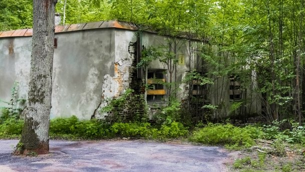 Gierłoż - Wilczy Szaniec - zdjęcie 69