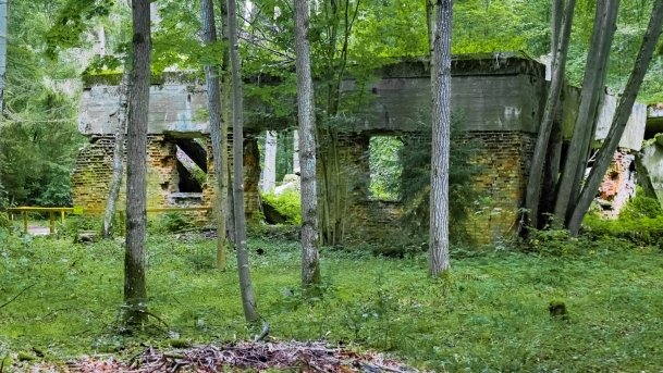 Gierłoż - Wilczy Szaniec - zdjęcie 65