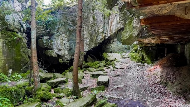 Gierłoż - Wilczy Szaniec - zdjęcie 62