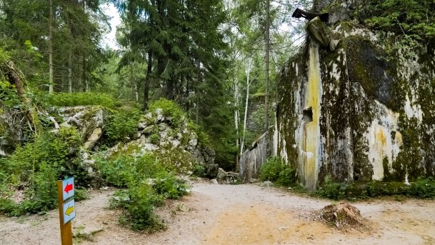 Gierłoż - Wilczy Szaniec - zdjęcie 40